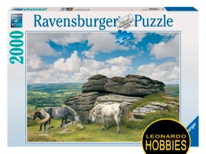 Caballos en el Parque Nacional Dartmoor 2000 Piezas Ravensburger 16643