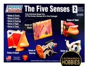 Los 5 sentidos Lindberg 71315