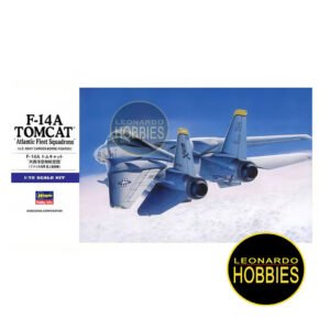 F-14A Tomcat (ATLANTIC F.S.) Escala 1/72 Hasegawa 0544